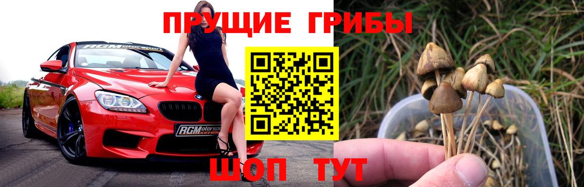 Энгельс  Галлюциногенные грибы GOLDEN TEACHER  Галлюциногенные грибы MAGIC MUSHROOMS  Вход с VPN 